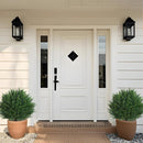 Kit de Cedros Artificiais Realista + Plugue + Vasos de Brinde + Frete Grátis