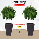 Kit de Samambaia Artificial Realista + Vasos - Paisamax