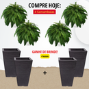 Kit de Samambaia Artificial Realista + Vasos - Paisamax