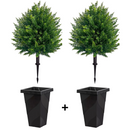 Kit de Cedros Artificiais Realista + Plugue + Vasos de Brinde + Frete Grátis