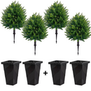 Kit de Cedros Artificiais Realista + Plugue + Vasos de Brinde + Frete Grátis