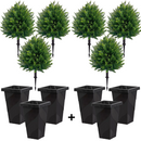 Kit de Cedros Artificiais Realista + Plugue + Vasos de Brinde + Frete Grátis